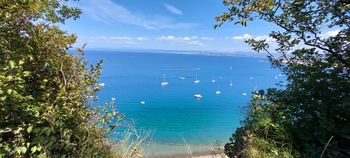 Tečaj Mala šola zdravljenja čustev