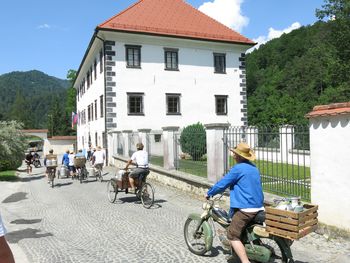 29. Dan pod Lovrencem v znamenju mleka