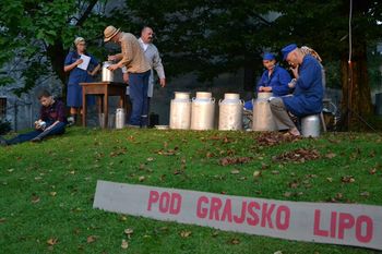 Pod grajsko lipo