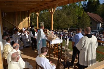 Škof Jamnik: "Naj melodija zvonov odmeva v naših srcih"