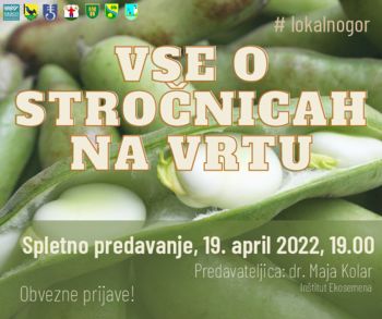 Vse o stročnicah na vrtu