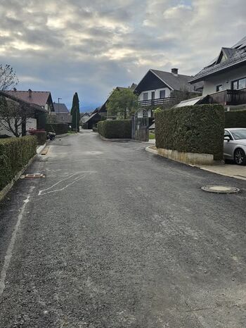 Popolna zapora ceste Ledina