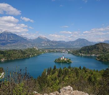 Analiza stanja kot izhodišče za opredelitev smeri ukrepanja OCPS Občine Bled