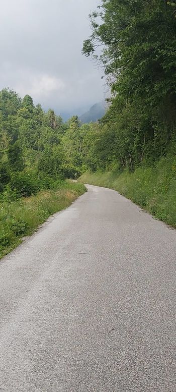 Košnja trave ob lokalnih cestah