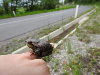 Ohranitev dvoživk Ohranitev dvoživk