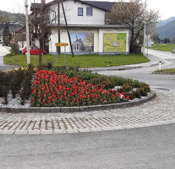 Dobrovsko krožišče odeto v pomladne barve