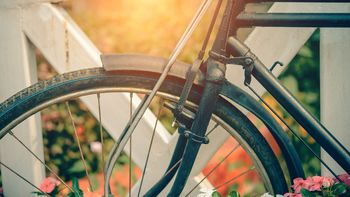 Barjanska kolesarska povezava – kje je projekt zdaj?