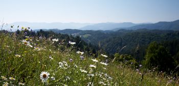 Javni razpis za spodbujanje uvajanja okoljskih in trajnostnih znakov za turistične nastanitve in gostinske ponudnike Javni razpis za spodbujanje uvajanja okoljskih in trajnostnih znakov za turistične nastanitve in gostinske ponudnike