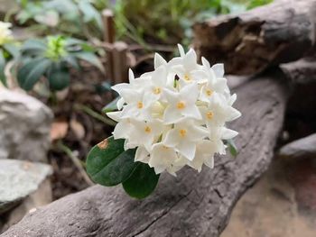 Primorski val je obiskal Polhograjsko hribovje