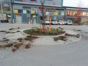 Vandalizem brez primere: neznani storilci posekali drevesa pred OŠ Polhov Gradec! Vandalizem brez primere: neznani storilci posekali drevesa pred OŠ Polhov Gradec!