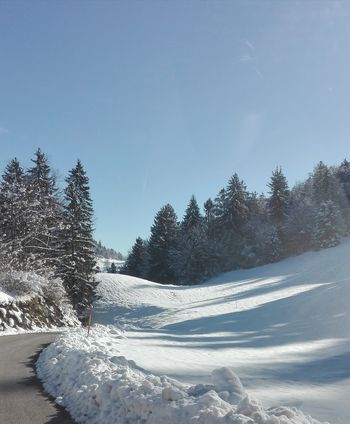 Ali veste, kako poteka izvajanje zimske službe? Ali veste, kako poteka izvajanje zimske službe?