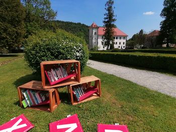 Branje pod polhograjski krošnjami Branje pod polhograjski krošnjami