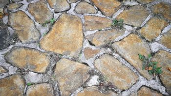 Edino kultura srca nas lahko reši