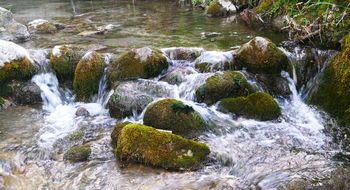 Univerzalne naravne vrednote Univerzalne naravne vrednote