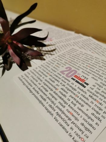 RAZSTAVA: 20 LET MLADINSKEGA SVETA AJDOVŠČINA