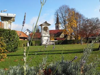 Ministrica za kulturo seznanjena z načrti za zaščito Rimske Nekropole v Šempetru