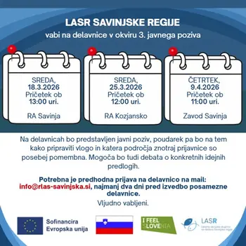 Termini delavnic - 3. javni poziv LASR Savinjske regije