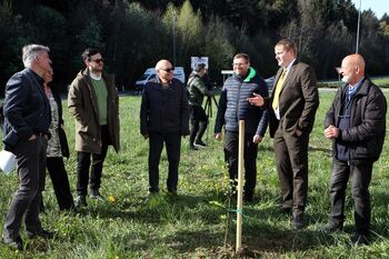 Zasaditev medovitih dreves -Občina Žalec 2026