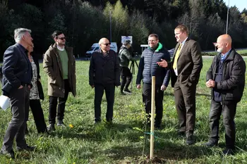Zasaditev medovitih dreves -Občina Žalec 2026