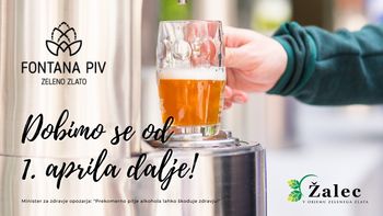 Fontana piv Zeleno zlato, pričetek VIII. sezone