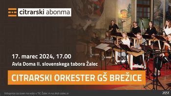 Citrarski orkester GŠ Brežice, koncert za citrarski abonma in izven