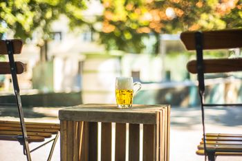 Fontana piv Zeleno zlato 