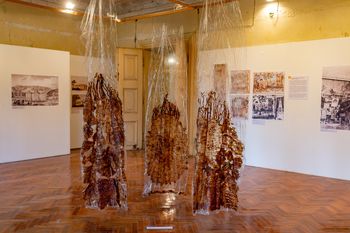 Javno vodenje po razstavi dvorec Novo Celje: Procesi spominjanja in pozabe