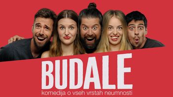  Budale, komedija o vseh vrstah neumnost