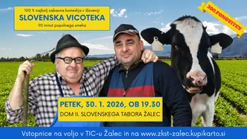 Slovenska vicoteka 