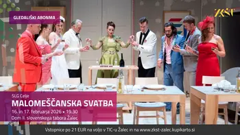 Malomeščanska svatba, za ponedeljkov in torkov abonma ter izven