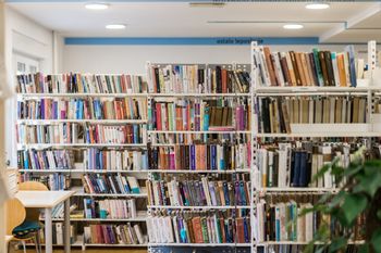 DELOVANJE KNJIŽNICE LOŠKI POTOK 