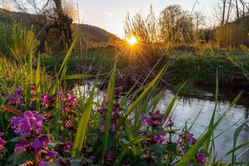 TERENSKA AKCIJA ZBIRANJA NEVARNIH ODPADKOV V OBČINI LOŠKI POTOK TERENSKA AKCIJA ZBIRANJA NEVARNIH ODPADKOV V OBČINI LOŠKI POTOK