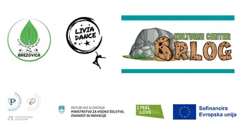 V Krajevno skupnost Brezovica prihaja projekt Aktivni otrok – več gibanja, dogodkov in idej za mlade