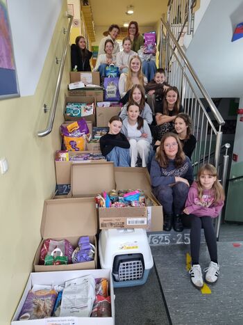 OŠ Vojnik in DZLMZ Vojnik z roko v roki za pomoči potrebne živali