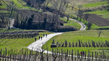 ŠTAFETNI TEK POVEŽIMO VIPAVSKO DOLINO