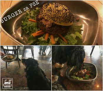 Stara fabrka iz Domžal, prva v Sloveniji ponudila burger za pse