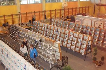 Ta vikend v Podgorju odprta razstava ptic