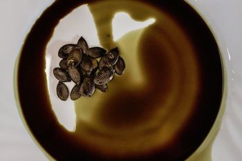 Zgodba o bučnem olju na doživljajski kmetiji Camplin