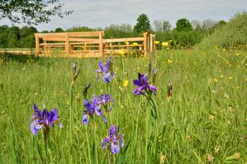 Pot metuljev v Motvarjevcih