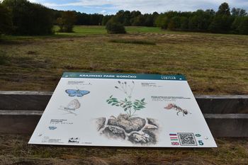 DEKD 2023: Vodenje po Poti metuljev v organizaciji JZ Krajinski park Goričko 