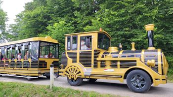 RAZPRODANO: Panoramska krožna vožnja s turističnim vlakcem