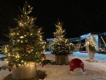 Decembrska praznična tržnica 
