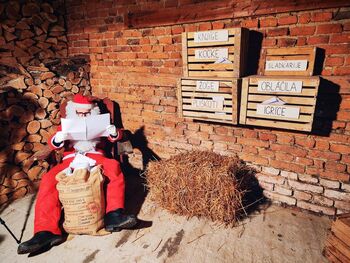 Premiera lončarovskega božičnega filma