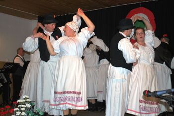 Svečana prireditev ob počastitvi madžarskega narodnega praznika