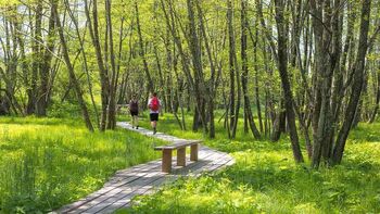 5. Pohod po močvari - odkrivanje skritih kotičkov narave 