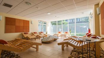 WELLNESS V TERMAH 3000