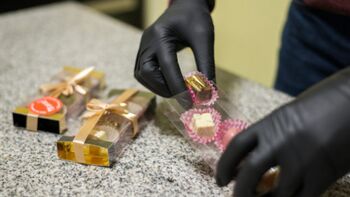 Čebelarske zgodbe in delavnica izdelave čokoladnih pralinejev z dodatkom meda