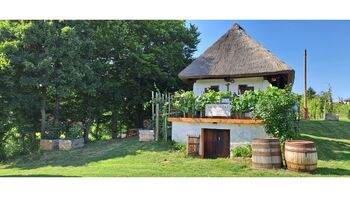 Doživetje filovske vinske tradicije – pokukajte v preteklost in okušajte sedanjost 