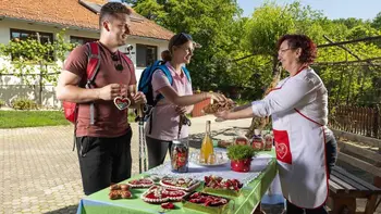 Medičarska obrt 