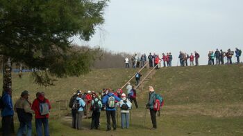 Memorial Marije Vild 